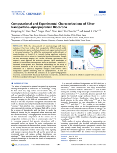 Computational and Experimental Characterizations of Silver −Apolipoprotein Biocorona Nanoparticle *