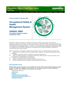 Occupational Safety &amp; Health Management System OHSAS 18001