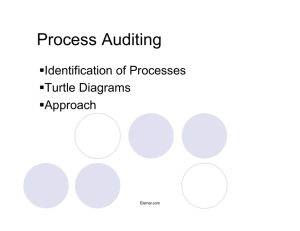 Process Auditing  Identification of Processes  Turtle Diagrams  Approach