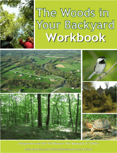 The Woods in Your Backyard Workbook The Woods in Your Backyard, 2