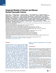Resource Organoid Models of Human and Mouse Ductal Pancreatic Cancer