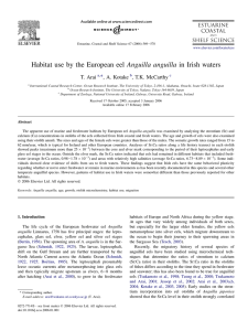 Habitat use by the European eel Anguilla anguilla in Irish waters