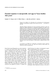 Parental responses to unexpectedly cool eggs in Nazca boobies Sula granti