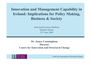 Innovation and Management Capability in Ireland: Implications for Policy Making,