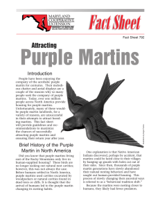 Purple Martins Attracting Introduction Fact Sheet 792