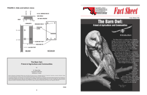 The Barn Owl: Introduction Friend of Agriculture and Communities