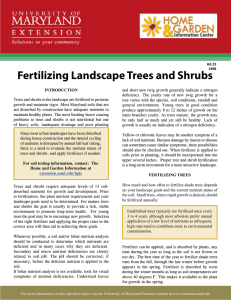 Fertilizing Landscape Trees and Shrubs