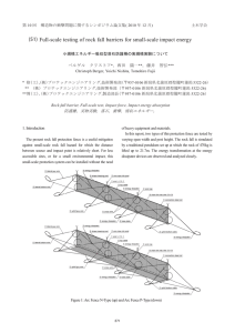 (51) Full-scale testing of rock fall barriers for small-scale impact energy