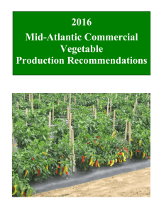 2016 Mid-Atlantic Commercial Vegetable