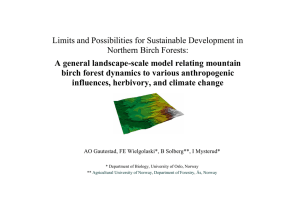 Limits and Possibilities for Sustainable Development in Northern Birch Forests: