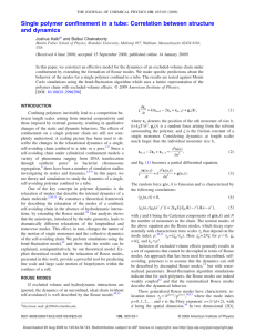 Single polymer confinement in a tube: Correlation between structure and dynamics Kalb