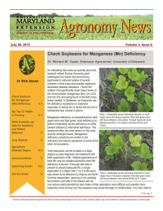 Check Soybeans for Manganese (Mn) Deficiency July 26, 2013