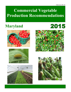 Commercial Vegetable Production Recommendations Maryland Publication EB-236