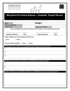 – Camelids  Project Record Maryland 4-H Animal Science