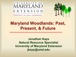 Maryland Woodlands: Past, Present, Future