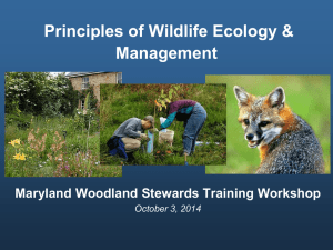 Principles of Wildlife Ecology &amp; Management Maryland Woodland Stewards Training Workshop