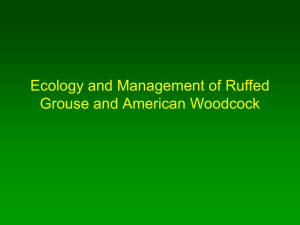 Ecology and Management of Ruffed Grouse and American Woodcock