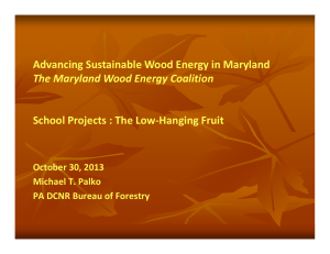 Advancing Sustainable Wood Energy in Maryland School Projects : The Low‐Hanging Fruit The Maryland Wood Energy Coalition  October 30, 2013