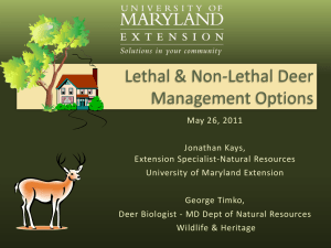 Lethal &amp; Non-Lethal Deer Management Options