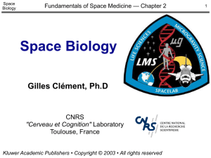 Space Biology Gilles Clément, Ph.D CNRS Laboratory