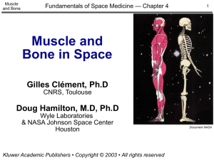 Muscle and Bone in Space Gilles Clément, Ph.D Doug Hamilton, M.D, Ph.D