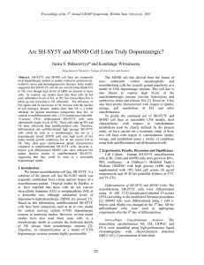 Are SH-SY5Y and MN9D Cell Lines Truly Dopaminergic?