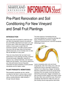 Pre-Plant Renovation and Soil Conditioning For New Vineyard and Small Fruit Plantings INTRODUCTION