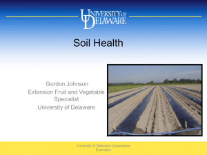 Soil Health Gordon Johnson Extension Fruit and Vegetable Specialist