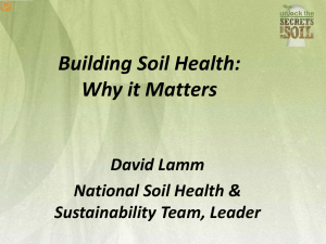 Building Soil Health: Why it Matters David Lamm National Soil Health &amp;