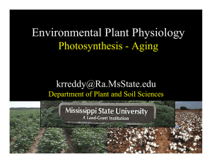 Environmental Plant Physiology Photosynthesis - Aging  Department of Plant and Soil Sciences