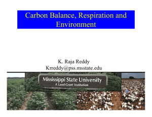 Carbon Balance, Respiration and Environment K. Raja Reddy