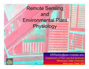 Remote Sensing and Environmental Plant Physiology
