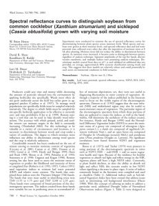 Spectral reflectance curves to distinguish soybean from Xanthium strumarium) and sicklepod