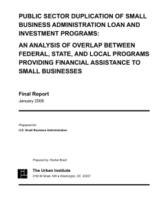 PUBLIC SECTOR DUPLICATION OF SMALL BUSINESS ADMINISTRATION LOAN AND INVESTMENT PROGRAMS: