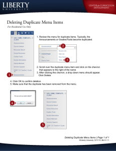 Deleting Duplicate Menu Items