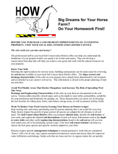 Big Dreams for Your Horse Farm? Do Your Homework First!