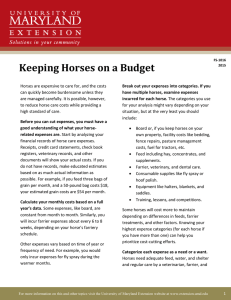 Keeping Horses on a Budget