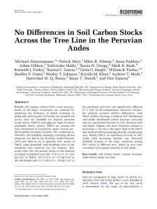 No Differences in Soil Carbon Stocks Andes
