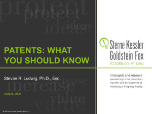 PATENTS: WHAT YOU SHOULD KNOW Steven R. Ludwig, Ph.D., Esq. June 8, 2006