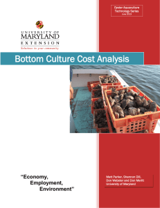 Bottom Culture Cost Analysis “Economy, Employment,