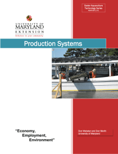 Production Systems “Economy, Employment,