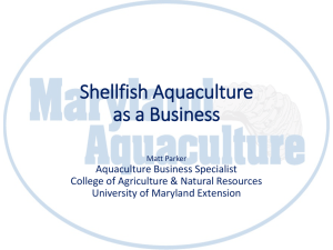 Shellfish Aquaculture as a Business