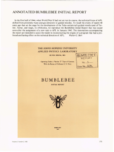 ANNOTATED BUMBLEBEE INITIAL REPORT