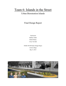 Team 6: Islands in the Street Urban Bioretention Islands  Final Design Report