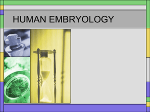 HUMAN EMBRYOLOGY