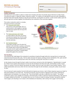 CP Anatomy &amp; Physiology