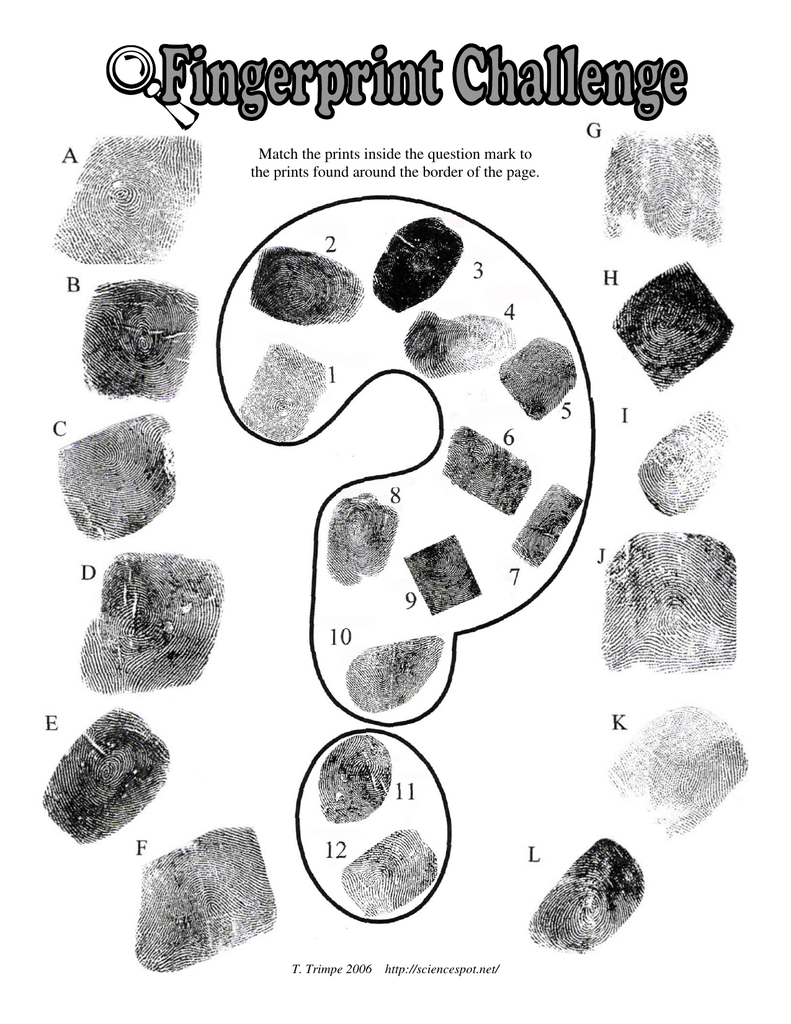 Match The Prints Inside The Question Mark To T Trimpe 2006