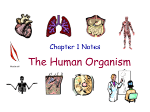 The Human Organism Chapter 1 Notes