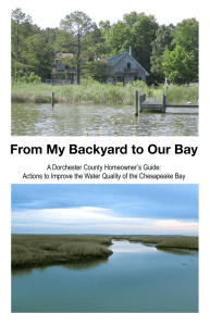 From My Backyard to Our Bay A Dorchester County Homeowner’s Guide: