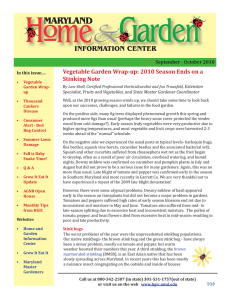 MARYLAND INFORMATION CENTER Vegetable Garden Wrap-up: 2010 Season Ends on a Stinking Note
